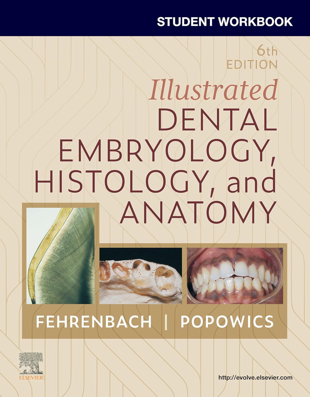 Student Workbook for Illustrated Dental Embryology, Histology and Anatomy 6th Edition