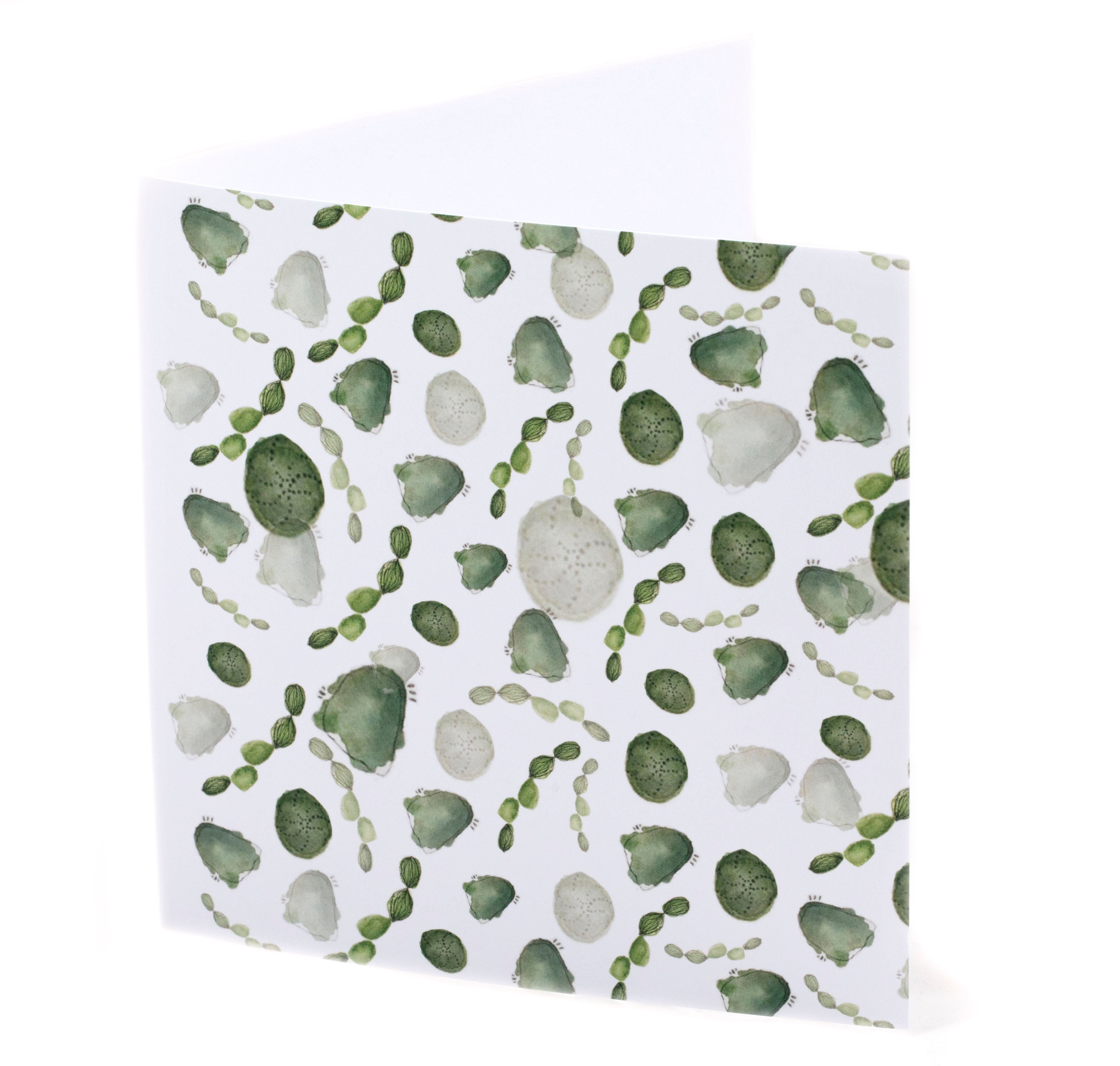 BLANK CARD ORGANIC SAGE SAMMII DOWNS