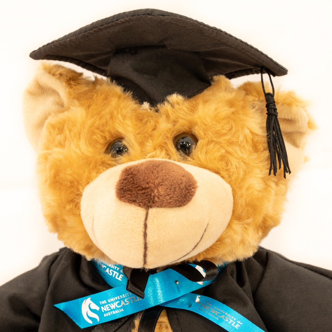 GRADUATION BEAR LARGE BROWN