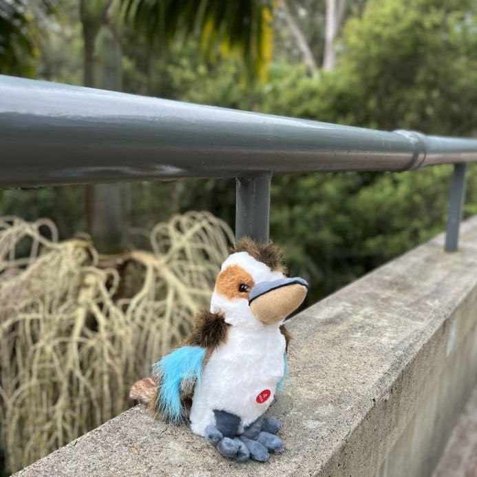 LAUGHING KOOKABURRA PLUSH 25CM